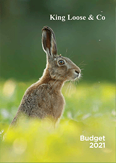 Budget Summary Spring 2021